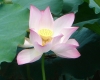 DSC04997.jpg
