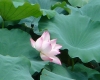 DSC04998.jpg