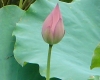 dsc05014.jpg