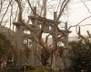 DSC04959.jpg