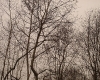 DSC04960.jpg