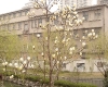 DSC05163.jpg