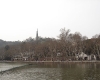 DSC05184.jpg