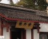 DSC05253.jpg