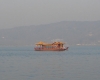 DSC00832.jpg