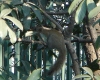 DSC00856.jpg