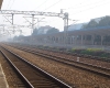 DSC02742.jpg