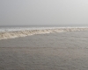 DSC02862.jpg