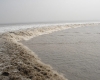 DSC02863.jpg