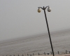 DSC02895.jpg