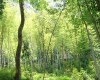 DSC01311.jpg