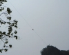 DSC01335.jpg