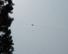 DSC01341.jpg