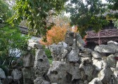 20081203dsc22