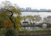 20081203dsc24