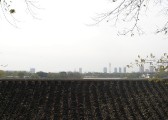20081203dsc27