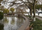20081203dsc29