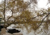 20081203dsc31