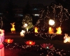 DSC03720.jpg