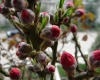 DSC03802.jpg