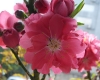 DSC03821.jpg