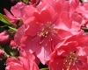 DSC03824.jpg