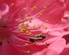 DSC03827.jpg