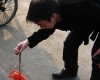 DSC03906.jpg