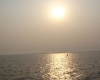 DSC03924.jpg
