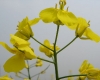DSC04048.jpg