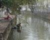 DSC00897.jpg