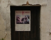 DSC00915.jpg