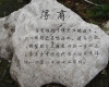 DSC00956.jpg