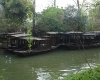 DSC01004.jpg