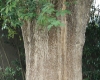 DSC04499.jpg