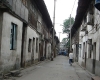 DSC04555.jpg