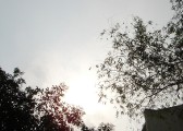 dsc06032
