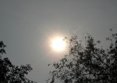 dsc06038