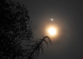 dsc_2010