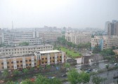 dsc_7505
