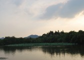 DSC_8520