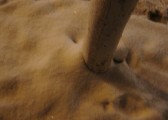 dsc06897