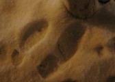 dsc06898