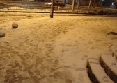 dsc06902
