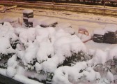 dsc06909