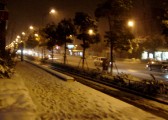 dsc06913