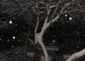 dsc06914