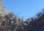 dsc07208