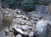 dsc07307