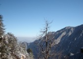 img00038
